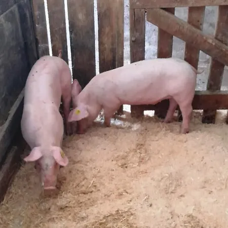 Hubertus - Prechtlhof