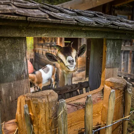 Apartman Hubertus - Prechtlhof *