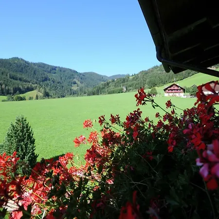 Hubertus - Prechtlhof Apartment *
